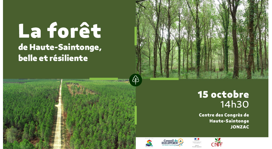 La Forêt de Haute-Saintonge, belle et résiliente