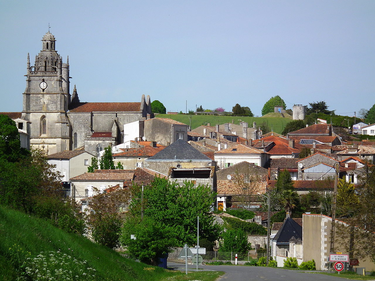 Image
